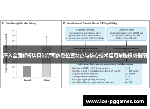 深入全面解析坎贝尔所司多重位置特点与核心技术运用策略权威指南